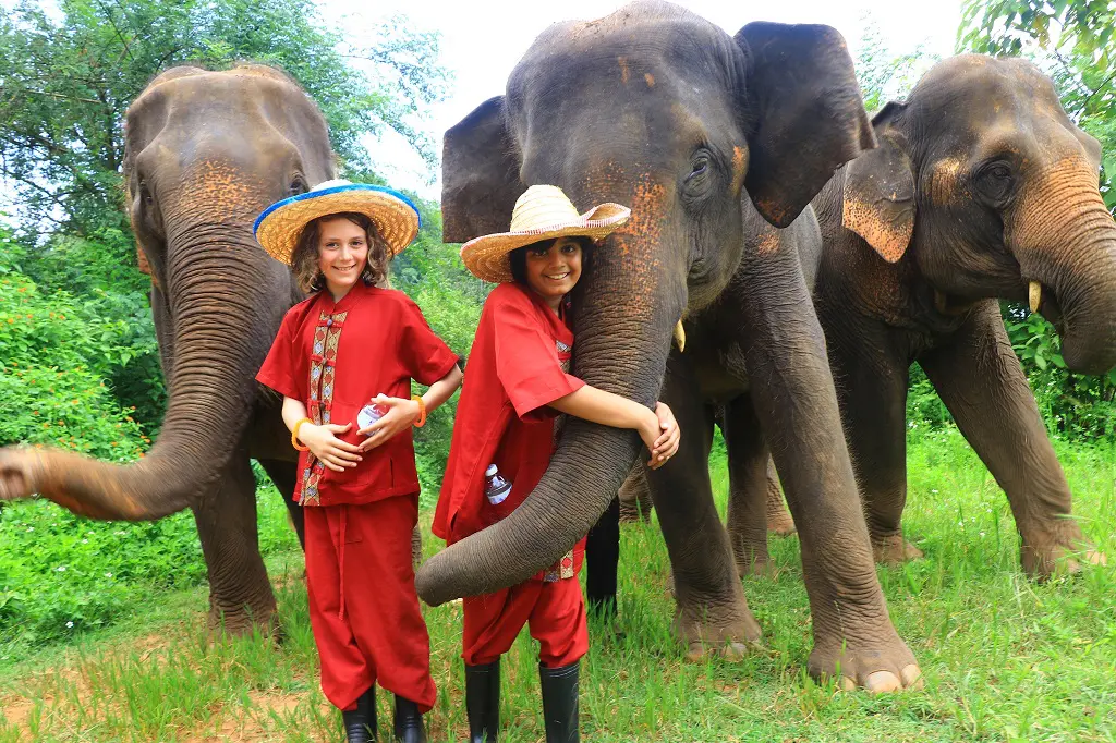 Elephant Rescue Park - Amazing Full Day Program