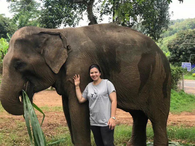 Helping Elephants elephant rescue park