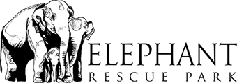 Elephant Rescue Park