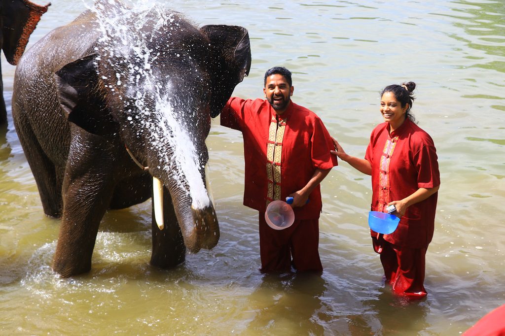 Private Serene Boutique Chiang Mai Elephant Care