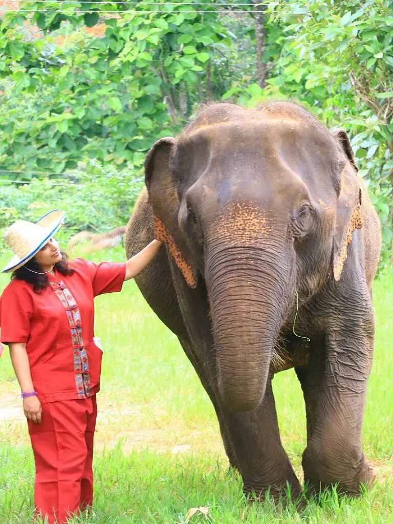 Elephant Rescue Park IMG_0887
