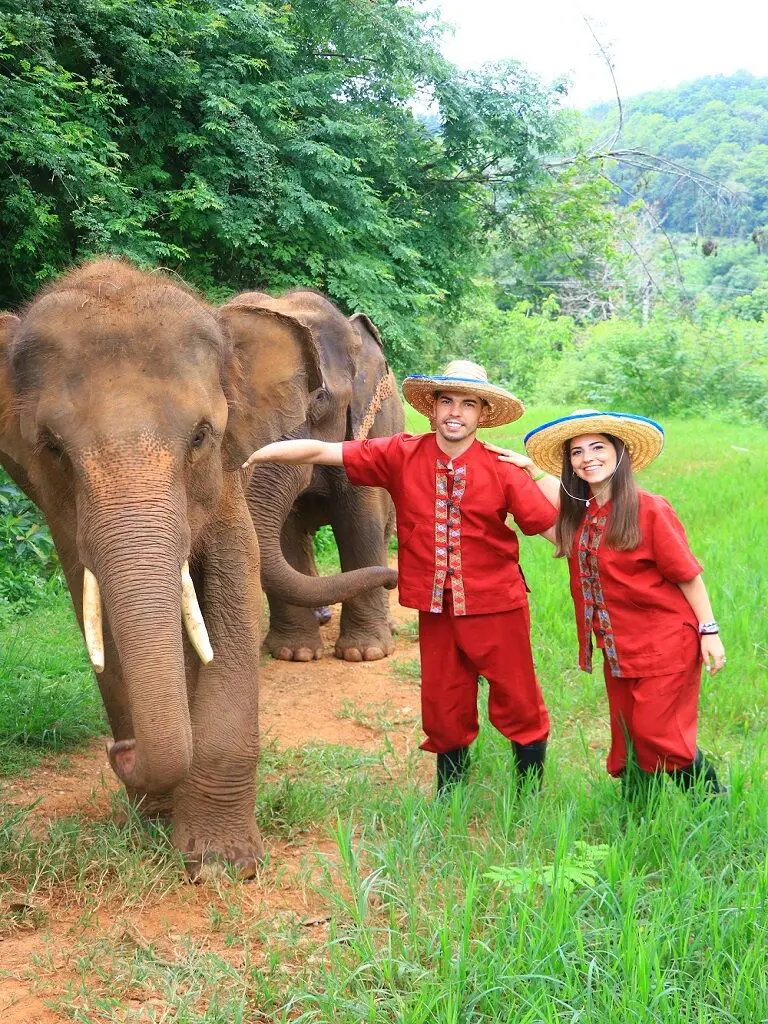 Adoption helps elephant sanctuaries in Thailand
