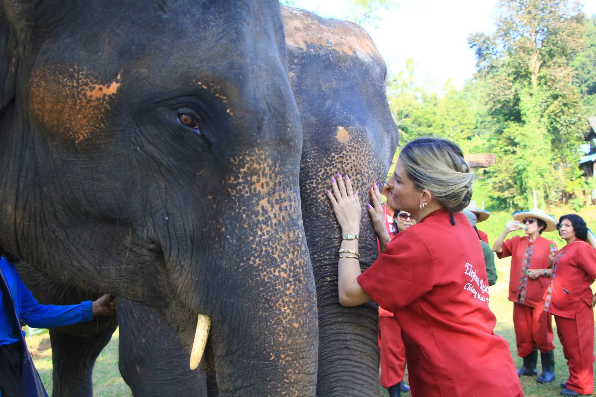 IMG 8649.JPG Overnight Elephant Care 14
