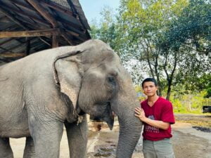 Our Elephants Kham Soi
