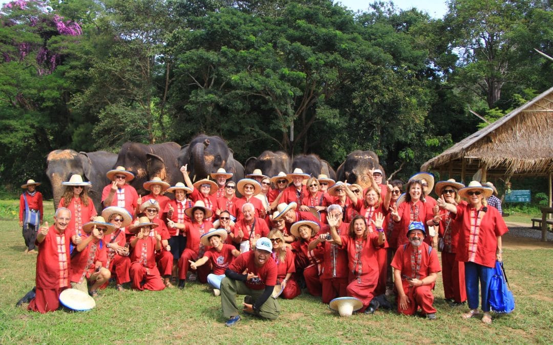 Best Things to Do In Chiang Mai 10 Chiang Mai Elephant Sanctuary