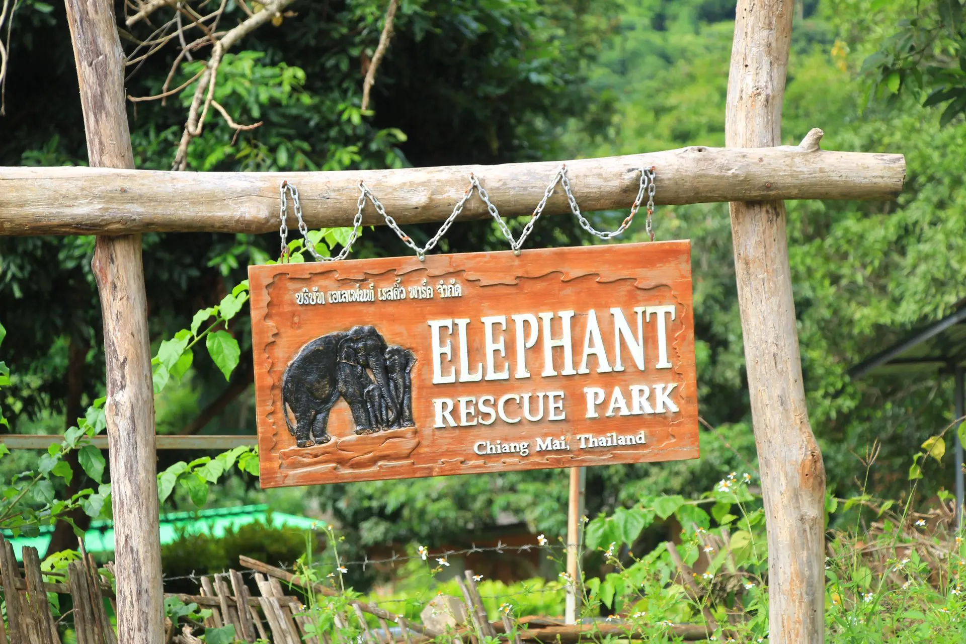 IMG_2538.JPG-Elephant Resuce Park-Chiang Mai Elephant Sanctuary a sign on a wood post