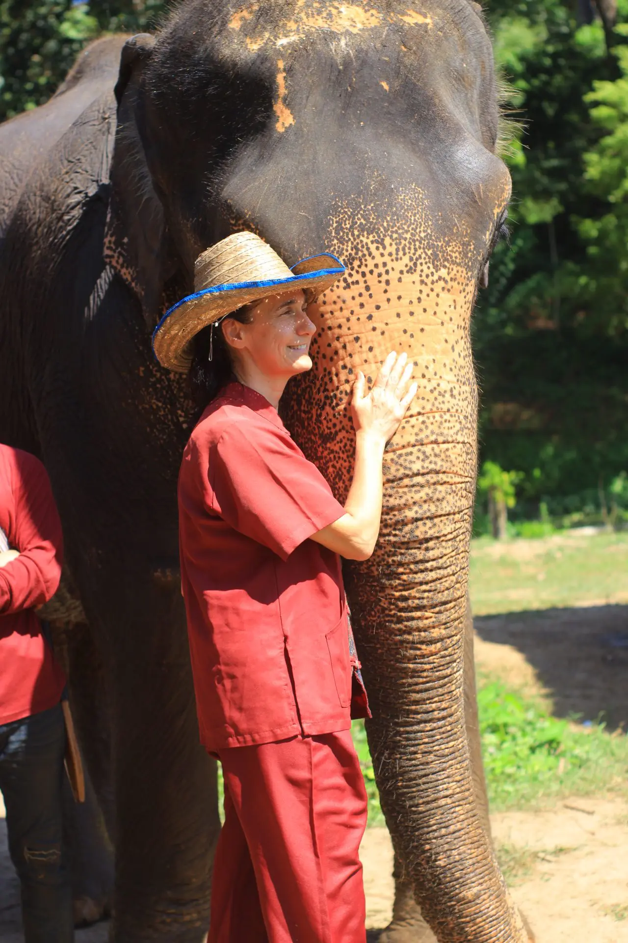 elephant rescue park reviews