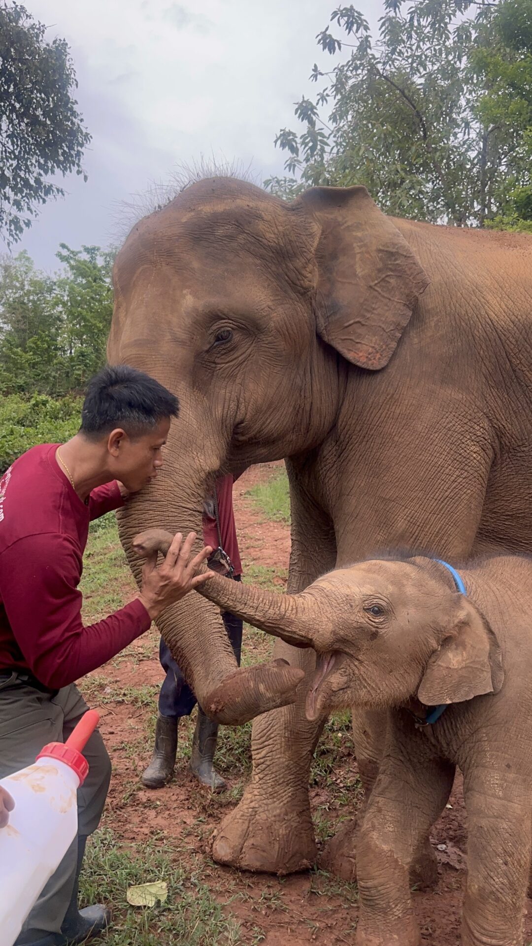 a man touching an elephant's trunk